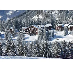 Au Pied Des Pistes Avec Vue Sur La Montagne Appartement